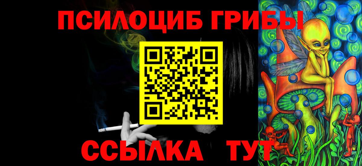 Галлюциногенные грибы Cubensis  даркнет сайт  Владимир  Вход с VPN 