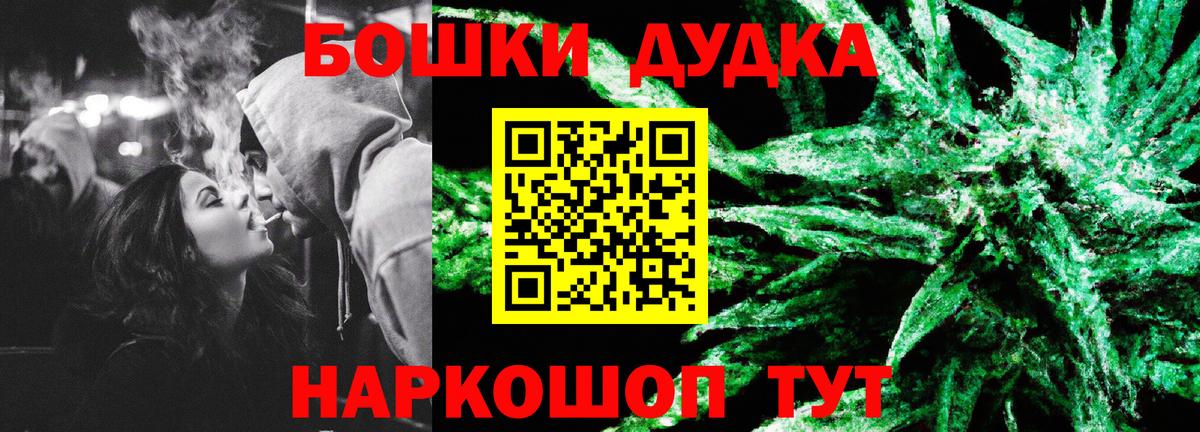 Бошки Шишки план Владимир
